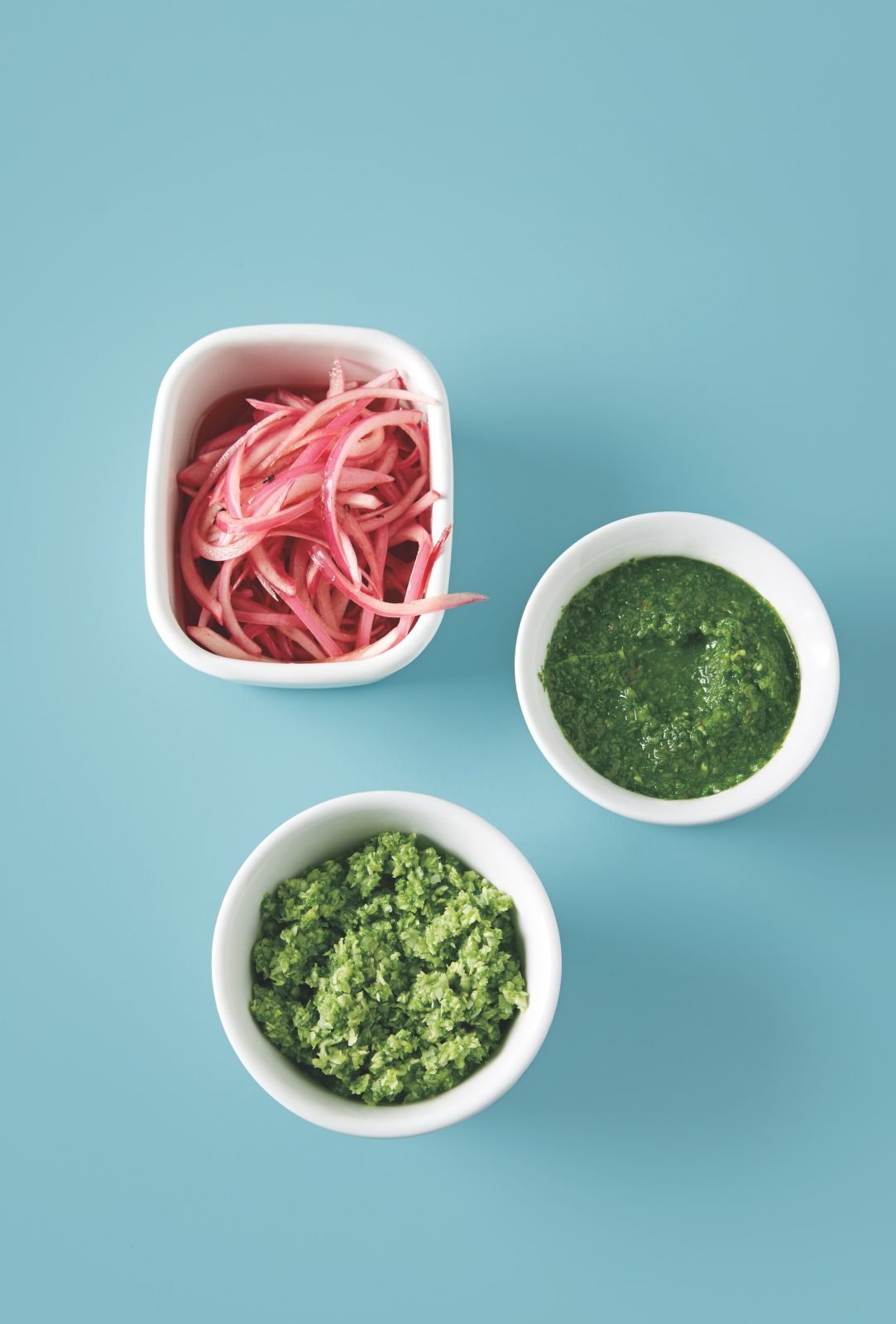 Cilantro-Mint Chutney Raw Onion Chutney Coconut Chutney