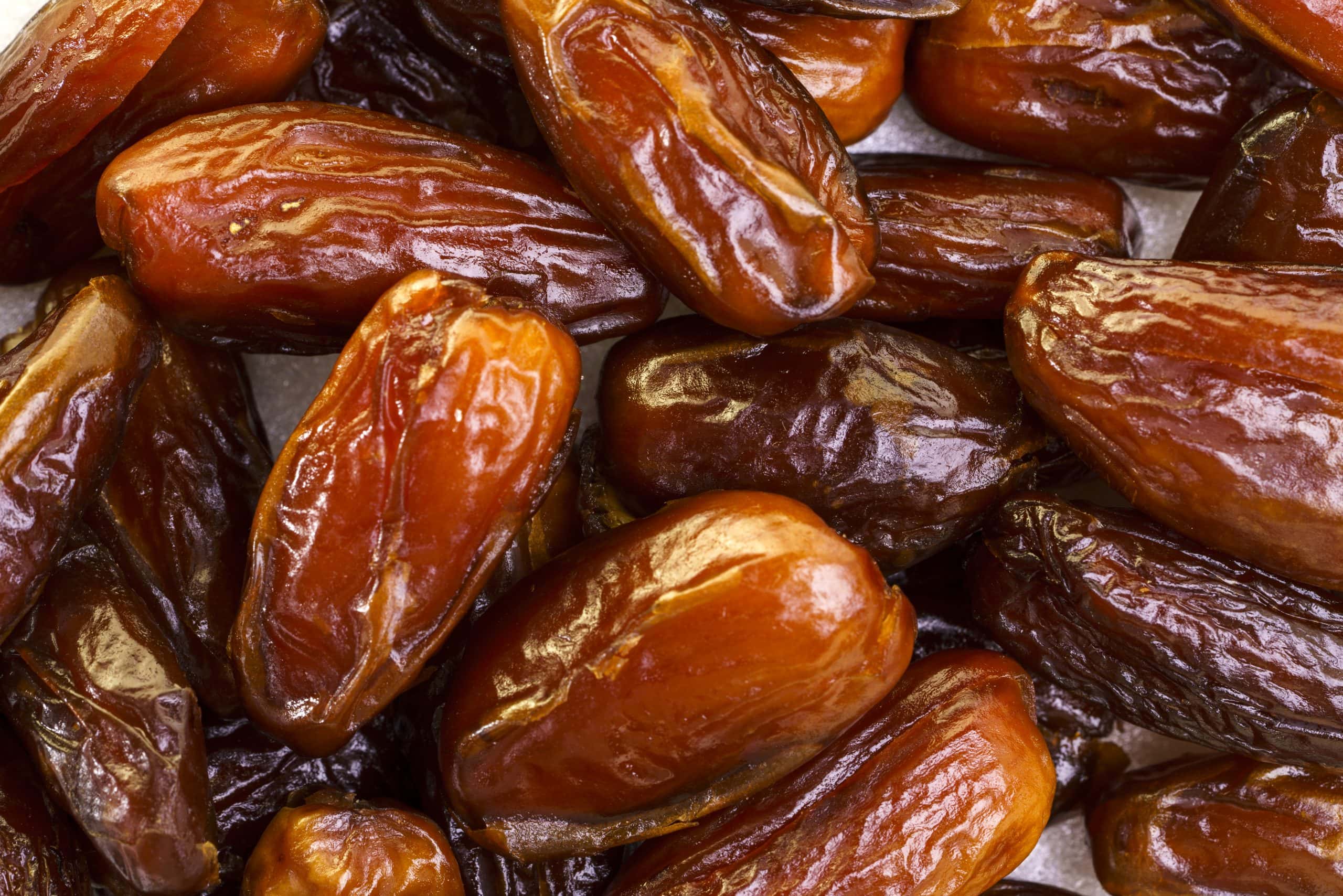 Dates | The Bittman Project