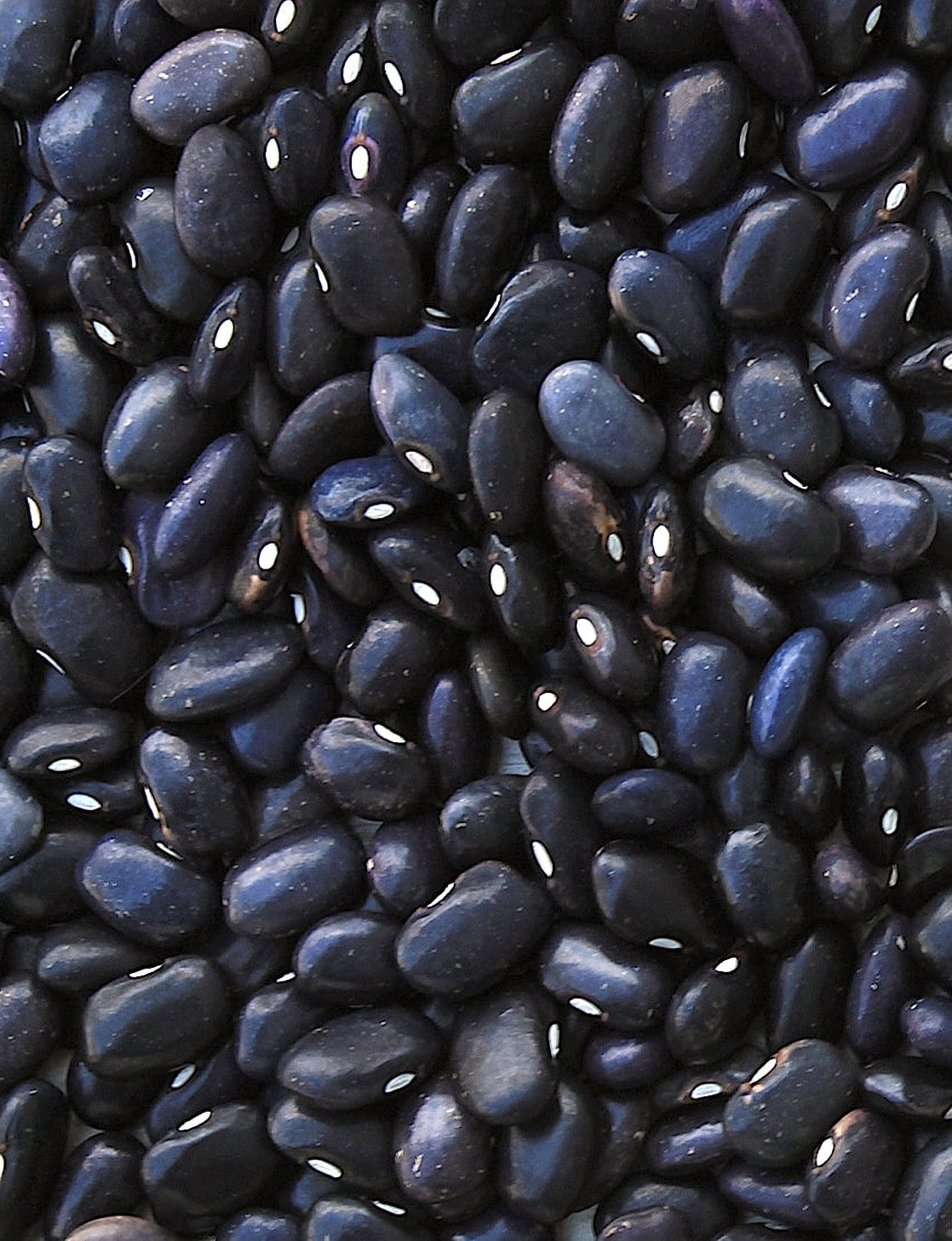 Beer-Glazed Black Beans - The Bittman Project