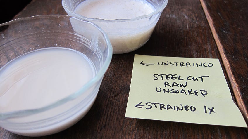 Nut or Seed Milk